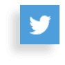 Twitter Icon